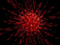 ۹ راهکار مهم در برابر ویروس جهش‌یافته کرونا