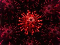 تست‌های پی سی آر می‌توانند کرونای دلتا را تشخیص دهند؟