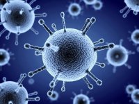 آمار قربانیان آنفلوآنزا؛ ۳۱ نفر جان باختند