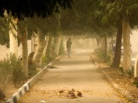 هواشناسی استان تهران اطلاعیه داد