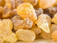 جلوگیری از آلزایمر، تقویت حافظه، لثه و دندان با مصرف این گیاه