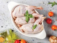 بوقلمون یا مرغ؛ کدامیک پروتئین بیشتری دارد؟