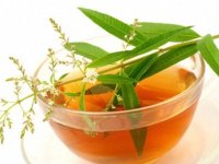 برگ به ؛ همه چیز درباره این مکمل طبیعی!