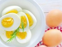 هفت ماده برای افزایش قد