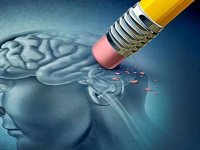 چرا گاهی اسمها را فراموش میکنیم؟