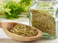 گیاهی که برای دردهای گوارشی دواست