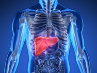 علائم رایج بیماری کبد چرب