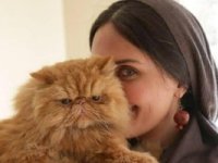 محل عجیب استراحت کردن گربه الناز شاکردوست