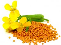 چربی سوزی و خوش اندامی با یک ماده غذایی سالم و مغذی