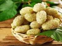 ۱۰ خاصیت شگفت انگیز توت سفید
