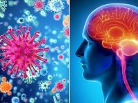 یک سوم مبتلایان به کرونا تا ۶ ماه دچار اختلالات عصبی می‌شوند