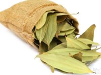 فواید برگ سنا برای پوست