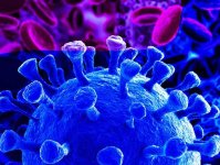 ۱۲۲ فوتی جدید کرونا؛مجموع جانباختگان از ۸۱۰۰۰ تن گذشت