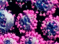 ۸۲ فوتی جدید کرونا در کشور؛۶۳۱۷ بیمار دیگر شناسایی شدند