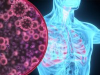 ویروس‌ها چگونه وارد بدن می‌شوند؟