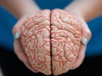 اصلی‌ترین علامت آلزایمر چیست؟