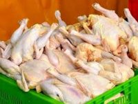 ماجرای توزیع مرغ ارزان قیمت چه بود؟