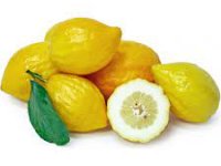 میوه ای با خواص ضد سمی