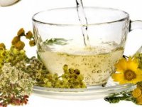 انواع دمنوش‌های گیاهی برای رسیدن به سلامتی و شادی