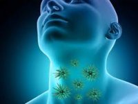 کروناویروس در غدد بزاق دهان تکثیر می شود