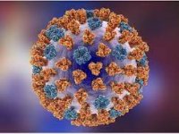 ۱۴۰ فوتی جدید کرونا در کشور ؛ ۳۱۸۵ نفر در شرایط شدید بیماری