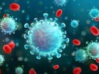 شناسایی۲۳ هزار و ۳۹۱ مبتلای جدید به کرونا؛ فوت ۱۳۶ بیمار در شبانه روز گذشته