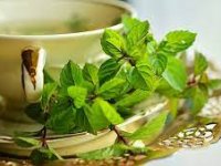 با هضم‌کننده‌های طبیعی غذای بیشتر آشنا شوید