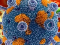 ژنتیک افراد در نوع ابتلا به کرونا چه تاثیری دارد؟