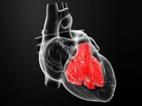 هر آنچه باید در مورد التهاب عضله قلب یا میوکاردیت بدانید!