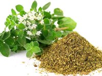 این افراد اصلا آویشن مصرف نکنند
