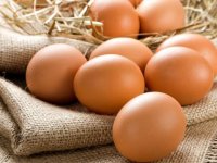 مصرف روزانه یک تخم‌مرغ برای قلب مفید است
