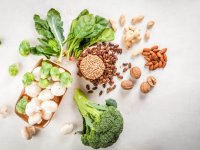 جایگزین های پروتئین را می شناسید؟