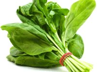 اسفناج راهی مناسب برای کاهش وزن