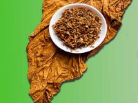 بهترین توتون پیپ برای تازه کارها