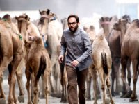 «روز بلوا» در کارگردانی و روایت قصه، تجربه‌ای متفاوت  بود