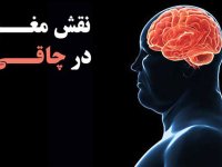 چاقی ممکن است مغز را برای همیشه تغییر دهد