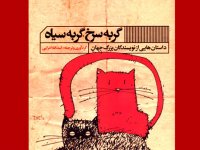 کتاب بخوانیم : ترجمه جدید امرایی از داستان‌های نویسندگان جهان چاپ شد