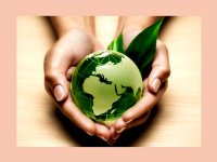 امنیت غذایی شاه کلید توسعه پایدار