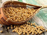 فواید طلایی سویا