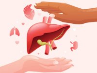 علل، درمان و تغذیه در کبد چرب غیرالکلی