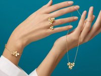 سکه و ارز وارد فاز جهشی شد