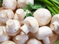 معروف‌ترین غذاهای ضد پیری