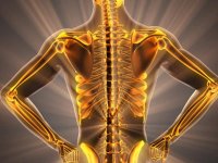 کمبود این ویتامین باعث پوکی استخوان می‌شود