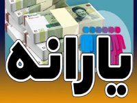 آغاز طرح حمایت یارانه ای از مادران باردار و شیرده