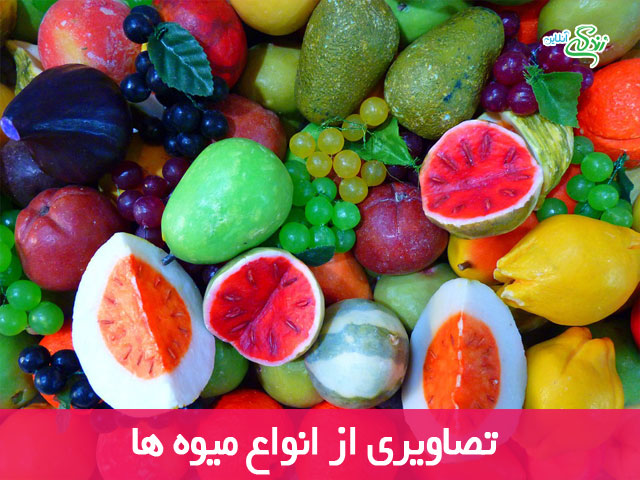 تصاویری از میوه ها