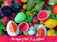 تصاویری از میوه ها