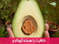 خلاقیت با هسته آووکادو