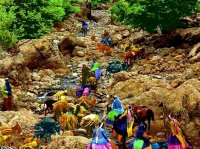 زندگی عشایری؛ میراث زنده ایل بختیاری