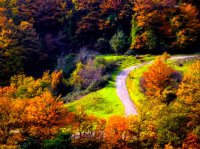 سفری حیرت‌انگیز به دریای بیکران ابرها در گردنه حیران