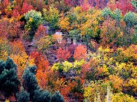 پاییزِ هزاررنگ در روستای شیت - طارم